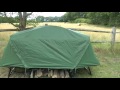 City Bee Cot-Tent