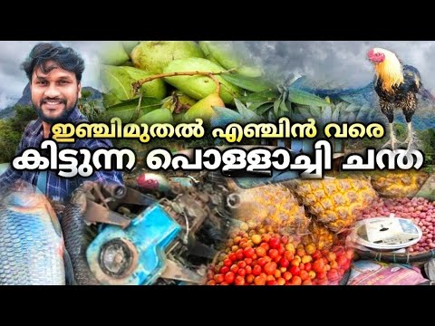 Pollachi market where you can get everything from ginger to engine  pollachi market  tamilnadu market  wholesale