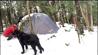 Survival: Two more ways to set up a tarp without cordage
