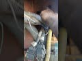 Ashok Leyland truck bs4 agar start na ho to check light and edclightnotworkingstartingproblemsolved