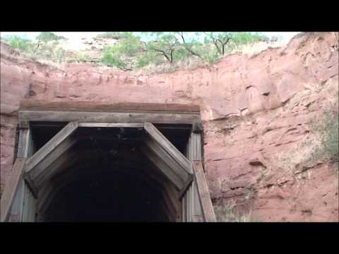Clarity Tunnel Bats 2011