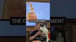 Honey Bee Leg Under The Microscope