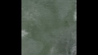 11 - Singularity