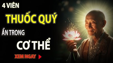 Bạn Có Biết 4 Viên Thuốc Quý Ẩn Trong Cơ Thể Giúp Khỏe Mạnh Hơn?