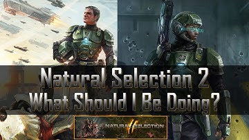 Natural Selection 2 - What Should I Be Doing?