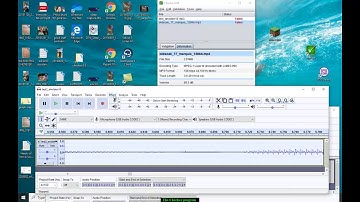 The Checker Program for LibriVox 2019