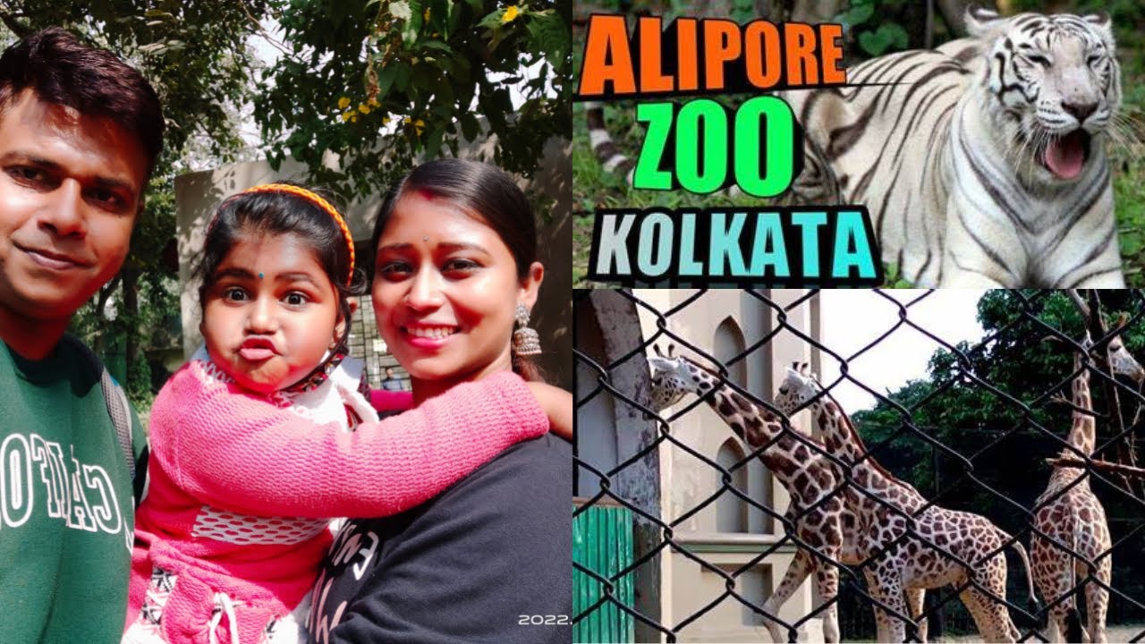 Kolkata Alipore Zoo আলিপুর ছিড়িয়াখানা ২০২২ Kolkata Zoological