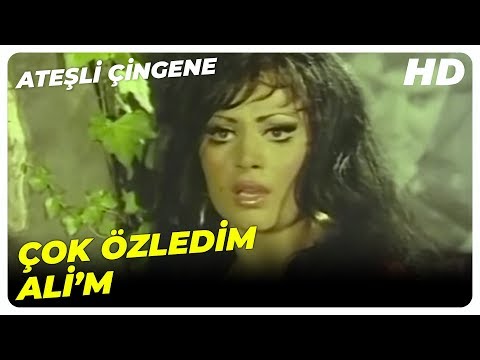 Ateşli Çingene  - Gelincik, Derbeder Ali'nin Peşine Düştü! | Türkan Şoray Eski Türk Filmi