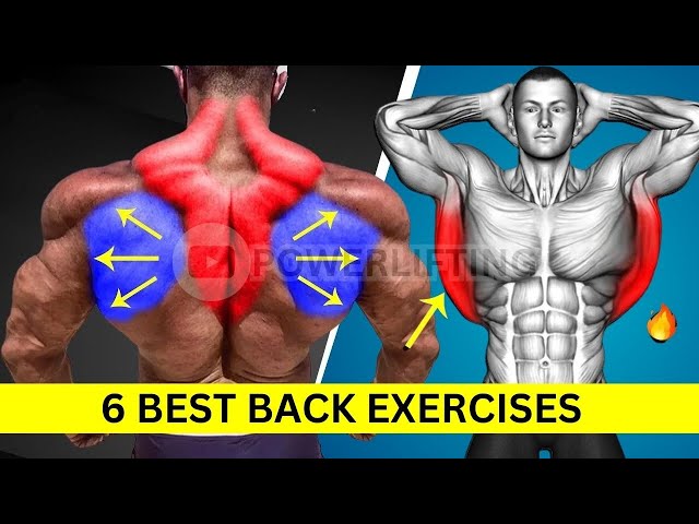 6 Back Workouts For A Bigger, Stronger Back