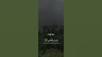 ماتيسر من سورة الواقعة | #قرآن #قران_كريم #تلاوات #راحة_نفسية #سورة_الواقعة#تلاوة_هادئة#اكسبلور#لايك