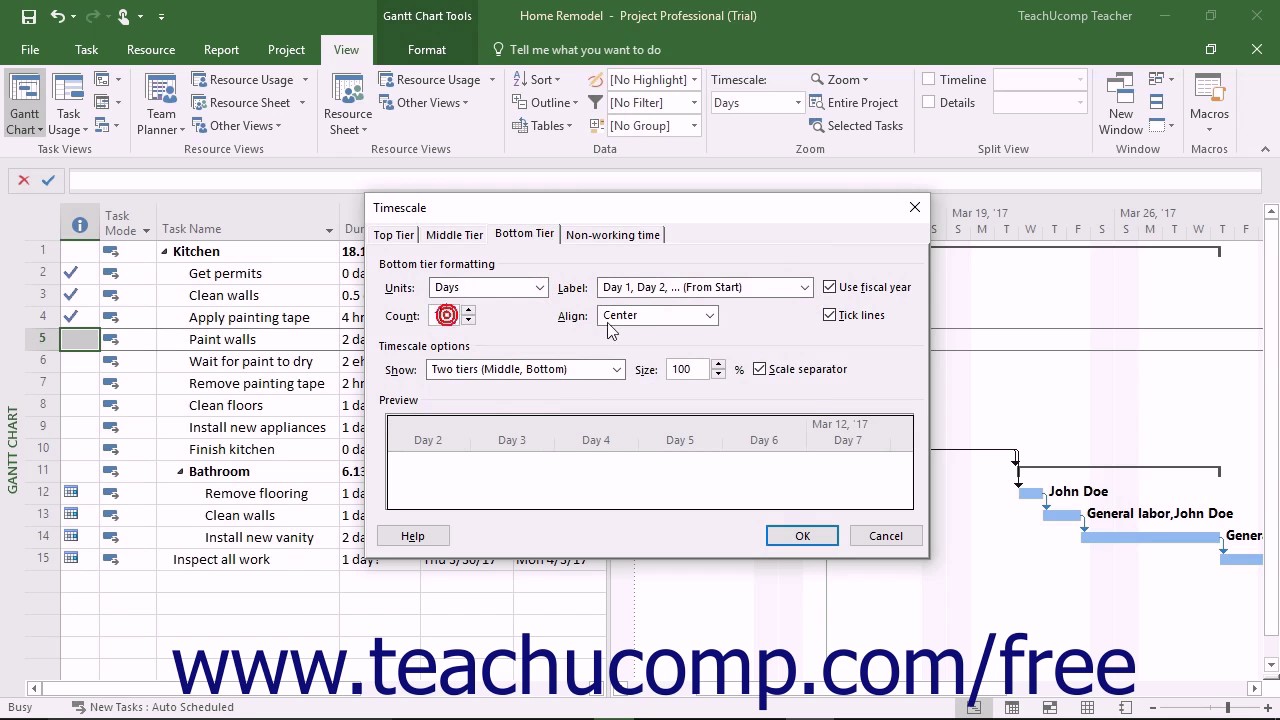 Microsoft Project Gantt Chart Timescale