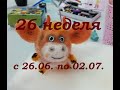 26 неделя 2021г. Почти не вышивальная. VLOG.