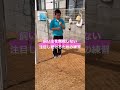 飼い主を無視しない、注目し続ける力を身につける方法 #ドッグトレーニング #犬のしつけ