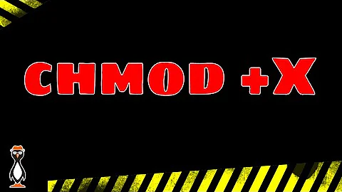 Linux Permissions and Using + X with chmod
