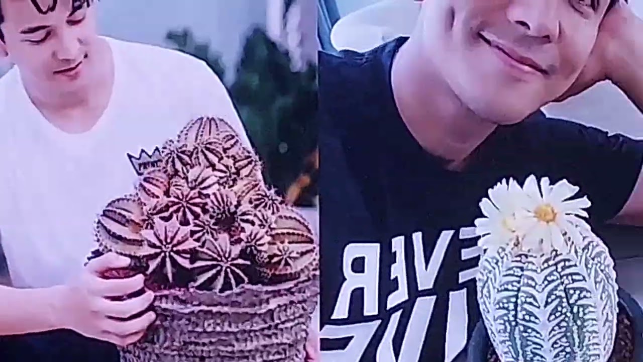 กว่าจะเป็นวันนี้ของ กัน นภัทร