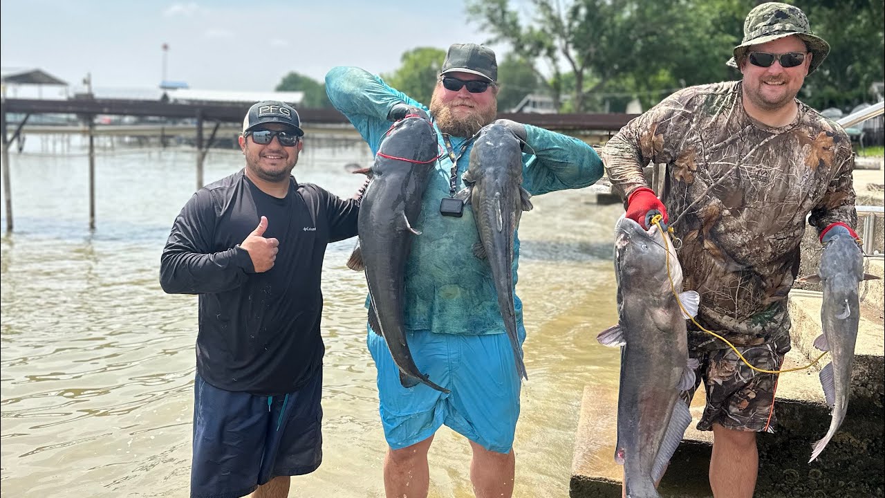 LOADING up the Cooler with MASSIVE Catfish! (NOODLING) YouTube