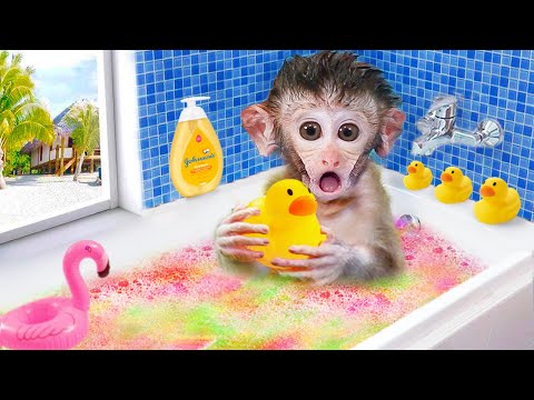 🐵 Cute monkey baby bath in the rainbow bathtub with duck | Maymun Animals Home Monkey Cartoon Video