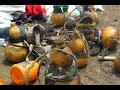 NILIKUWA NAUA KILA MWAKA NA NAKULA NYAMA ZA WATOTO WACHANGA WA SIKU MOJA NILIKUWA NAUA KILA MWAKA NA NAKULA NYAMA ZA WATOTO WACHANGA WA SIKU MOJA