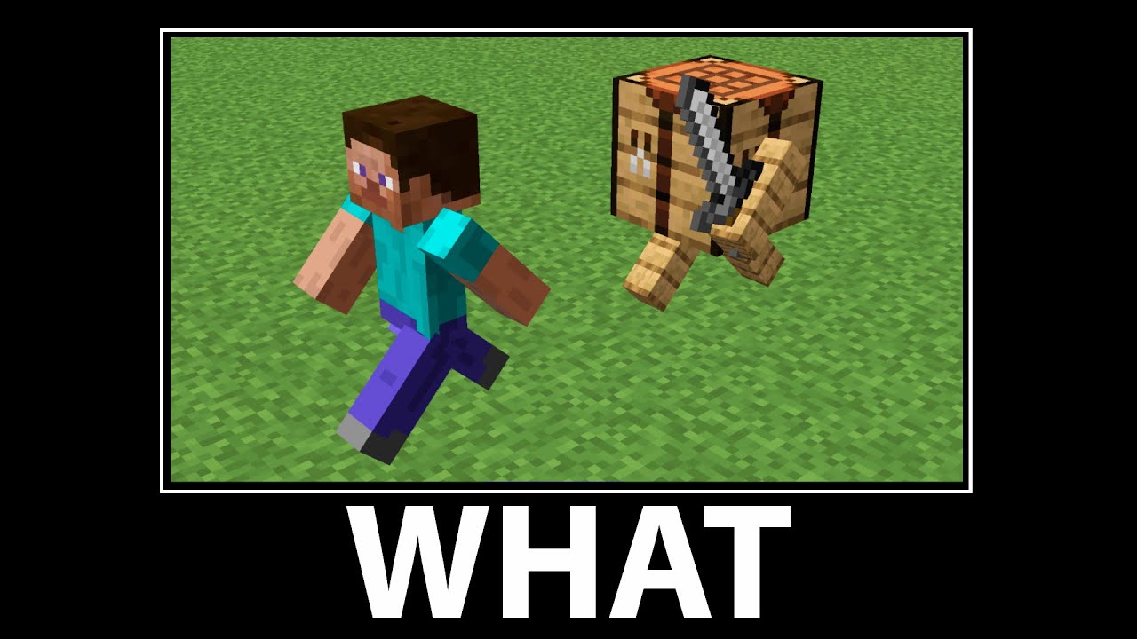 WAIT WHAT - Minecraft #13 - YouTube