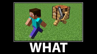 WAIT WHAT - Minecraft #13