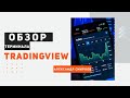 Обзор аналитического терминала tradingwiew