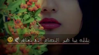 اجمل حالات واتس اب? اغاني عراقيه ستوريات انستا حب /طرب عراقي قديم حزينه مواويل قديمه وجديده جدا