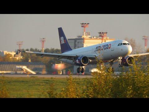 Video: So übergeben Sie Die Kontrolle Und Registrierung Bei Domodedovo