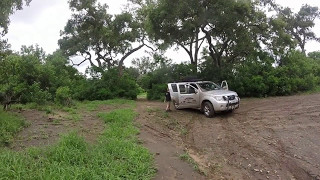 Molema Bush Camp 2017 January