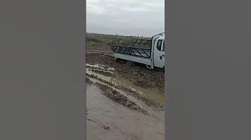 زلمه لمن دايخ ماضل وراك زلم 