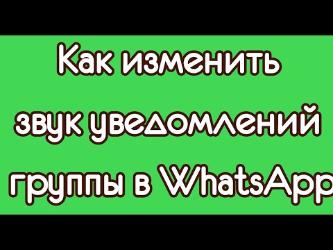 Как изменить звук уведомлений группы в WhatsApp