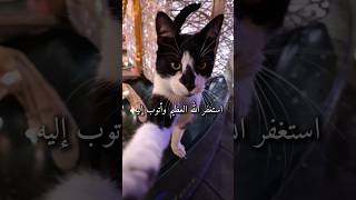 Estağfirullah El-Azîm Ve Etûbu Ileyh Übbeliahmethoca