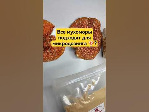 Все мухоморы подходят для микродозинга 🍄? #мухомор #микродозинг # ...