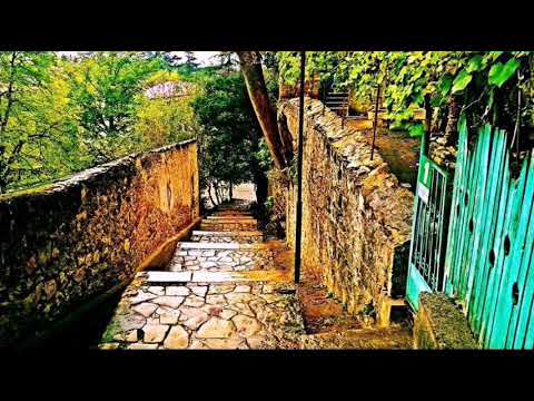 ოღასყურიდან თაფლის ნიავი. Qutaisi Gora