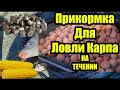 Стартовый закорм для ловли карпа на течении