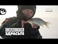 Зимний карась на жерлицы и мормышку | Снасти, здрасьте!