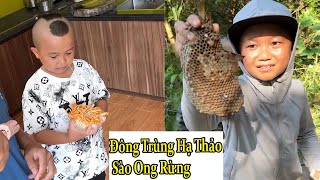 Đông Trùng Hạ Thảo Xào Ong Rừng  Thánh Nổ Tam Đệ Cho Chó Ăn Đông Trùng