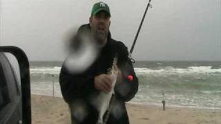 9 16 09 Bluefish Bite and Fishing Conditions