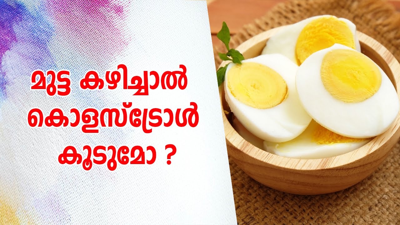 Eggs Are they good or bad for my cholesterol? Daily Malayalam Health