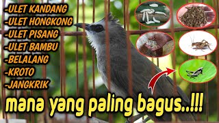 Ini Ef Yang Paling Bagus