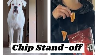 A Good Ol’ Fashioned Chip Stand-Off!