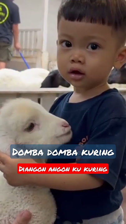 domba kuring diangon ku kuring