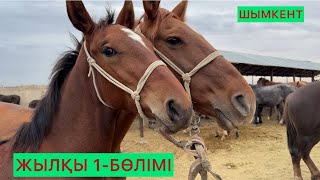 картинка: Жылқы 1-бөлімі 01.10.25ж.