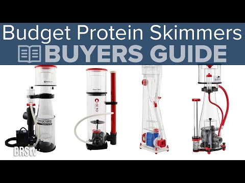 Thomas&rsquo; Top Protein Skimmers Under $300 and up to 75 Gallons of Reef Tank!
