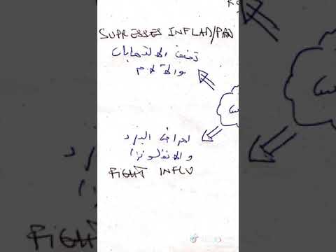 فوائد شجرة الكاليبتوس