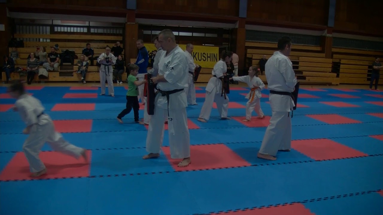 video to gif OLSZTYN24: Zimowa Akademia Karate 2019 w Olsztynie