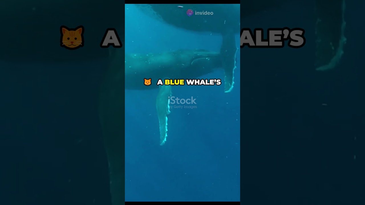 5 Fun Facts You’ll Want to Share! 🌟 