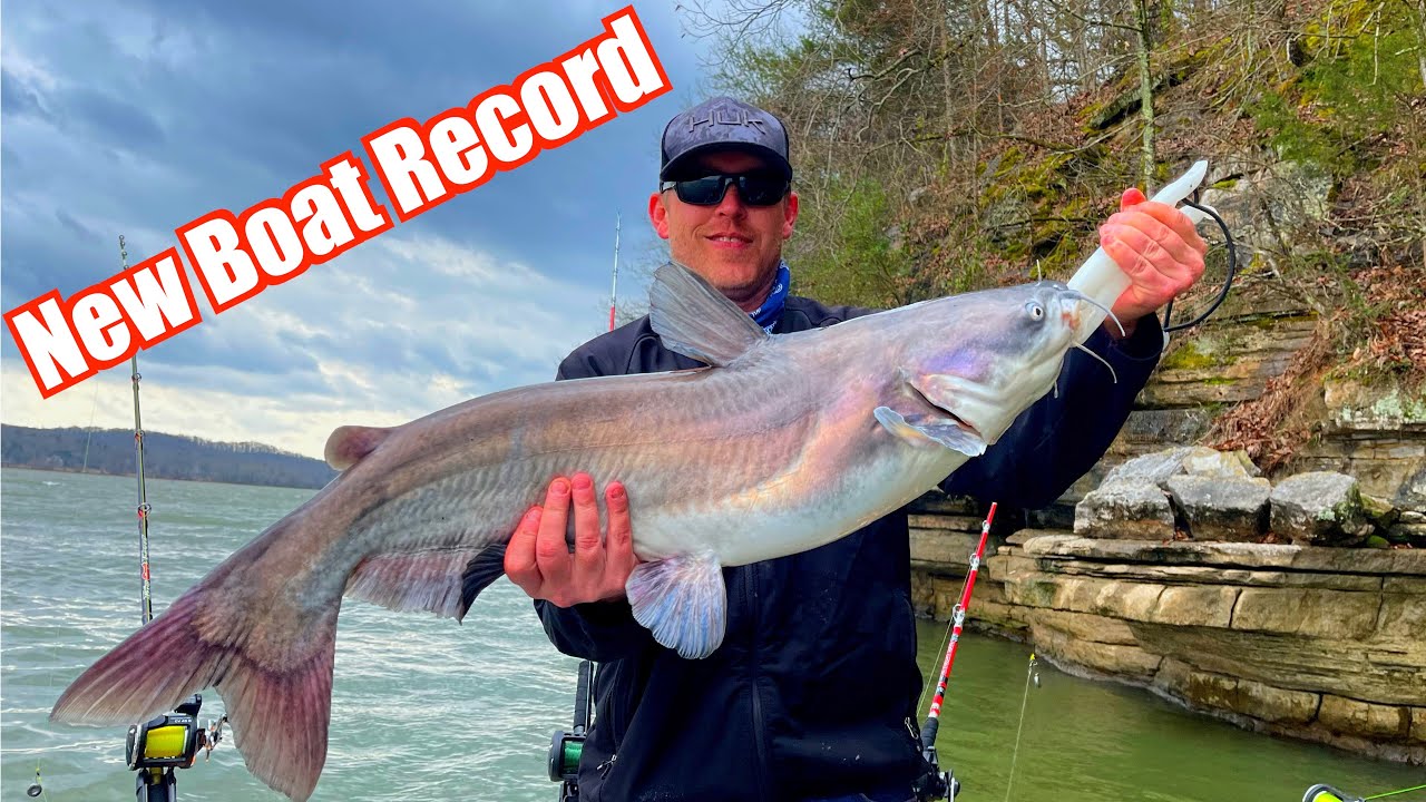 Bluff Fishing for Catfish on the Tennessee River! - YouTube