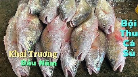 Xuất hành nghề Bà Cậu đầu năm mới anh em bội thu cá Sủ nấu bửa cơm quê bên chòi lá | Cldv #638