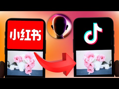 TikTok is Back! How to repost Rednote XiaoHongShu videos to Tiktok and MAKE MONEY