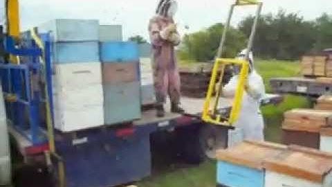 a Canadian Beekeeper’s Blog- , - Honey Collection, Ezyloader 300